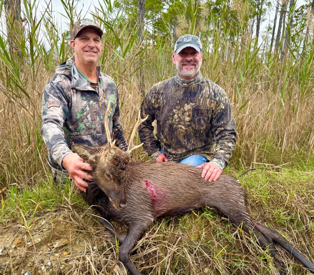 Successful Sika hunt