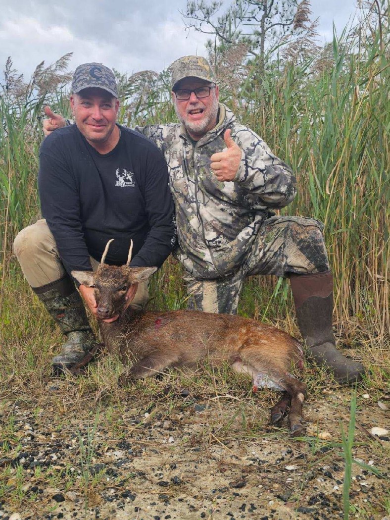 Successful Sika hunt