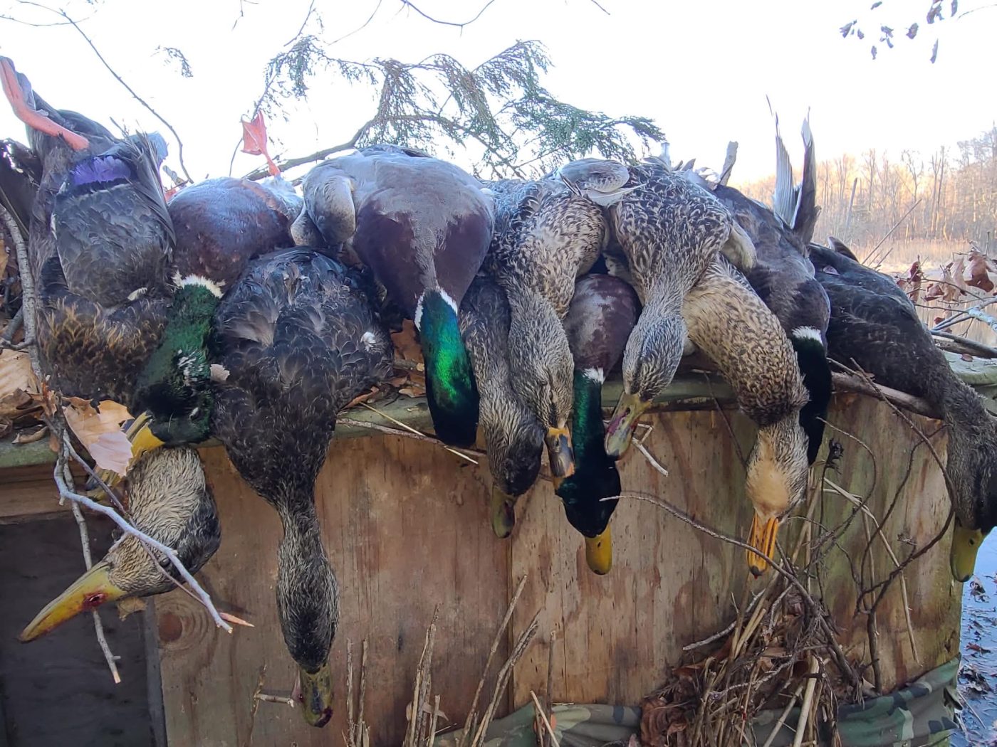 Rivers Edge Outdoors